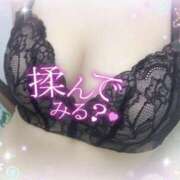 ヒメ日記 2025/12/01 15:30 投稿 せり 女の子がセルフで撮影する店！！成田デリヘル『生パネル』伝説