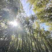 ヒメ日記 2026/04/11 19:00 投稿 せり 女の子がセルフで撮影する店！！成田デリヘル『生パネル』伝説