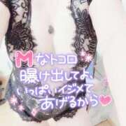 ヒメ日記 2026/04/04 11:29 投稿 潮見　百合子 Prae(プラエ)