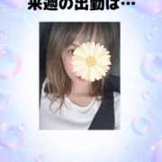 ヒメ日記 2025/05/18 02:41 投稿 西崎　かなえ NADIA神戸店