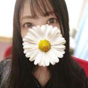 ヒメ日記 2024/12/09 17:01 投稿 秋月　めい NADIA神戸店