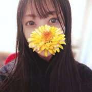 ヒメ日記 2025/12/15 15:11 投稿 秋月　めい NADIA神戸店