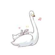 ヒメ日記 2026/02/06 18:34 投稿 秋月　めい NADIA神戸店