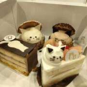 ヒメ日記 2026/09/14 15:11 投稿 秋月　めい NADIA神戸店