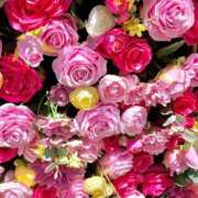 ヒメ日記 2025/11/25 07:45 投稿 かなで 滋賀彦根ちゃんこ