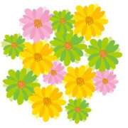 ヒメ日記 2025/12/12 07:45 投稿 かなで 滋賀彦根ちゃんこ