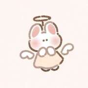 ヒメ日記 2026/04/14 15:02 投稿 かなで 滋賀彦根ちゃんこ