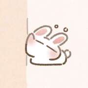 ヒメ日記 2026/05/08 07:45 投稿 かなで 滋賀彦根ちゃんこ