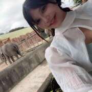 ヒメ日記 2025/09/19 02:35 投稿 みほ バイオレンス