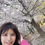 ヒメ日記 2026/04/07 21:45 投稿 みほ バイオレンス