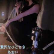 ヒメ日記 2024/12/28 15:22 投稿 あおい 贅沢なひと時