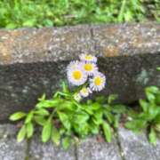 ヒメ日記 2025/09/15 13:34 投稿 えな Delyz（デリーズ）