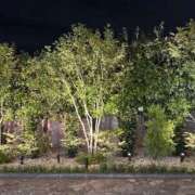 ヒメ日記 2025/10/17 18:54 投稿 えな Delyz（デリーズ）