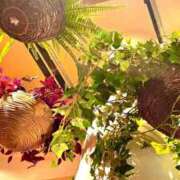 えな 感謝💐 Delyz（デリーズ）