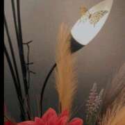 ヒメ日記 2026/03/15 11:56 投稿 えな Delyz（デリーズ）