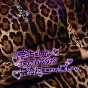 ヒメ日記 2024/12/09 07:18 投稿 ことみ 完熟とまと(十三)