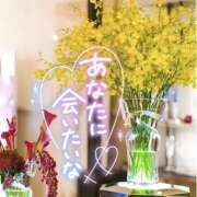 ヒメ日記 2024/12/19 10:54 投稿 ことみ 完熟とまと(十三)