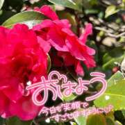 ヒメ日記 2025/02/28 07:28 投稿 ことみ 完熟とまと(十三)