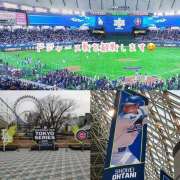 ヒメ日記 2025/03/15 18:00 投稿 ことみ 完熟とまと(十三)