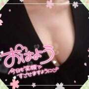 ヒメ日記 2025/04/03 10:25 投稿 ことみ 完熟とまと(十三)