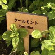 ヒメ日記 2025/06/02 07:10 投稿 ことみ 完熟とまと(十三)