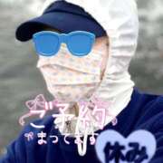 ヒメ日記 2025/06/23 08:21 投稿 ことみ 完熟とまと(十三)