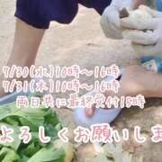 ヒメ日記 2025/07/29 17:21 投稿 ことみ 完熟とまと(十三)