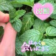 ヒメ日記 2025/07/31 10:40 投稿 ことみ 完熟とまと(十三)