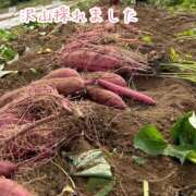 ヒメ日記 2025/09/23 10:25 投稿 ことみ 完熟とまと(十三)