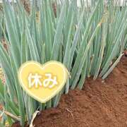 ヒメ日記 2025/10/24 09:47 投稿 ことみ 完熟とまと(十三)