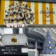 ヒメ日記 2025/10/25 14:27 投稿 ことみ 完熟とまと(十三)