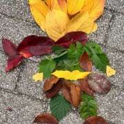 ヒメ日記 2025/11/13 10:42 投稿 ことみ 完熟とまと(十三)