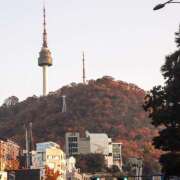 ヒメ日記 2025/11/17 09:26 投稿 ことみ 完熟とまと(十三)