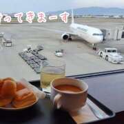 ヒメ日記 2025/11/23 09:20 投稿 ことみ 完熟とまと(十三)