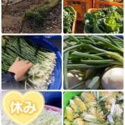 ヒメ日記 2026/03/18 09:38 投稿 ことみ 完熟とまと(十三)