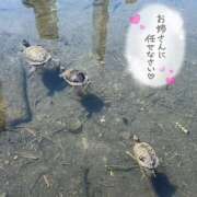 ヒメ日記 2026/05/20 11:13 投稿 ことみ 完熟とまと(十三)