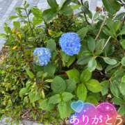 ヒメ日記 2026/05/25 19:42 投稿 ことみ 完熟とまと(十三)
