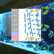 ヒメ日記 2025/04/07 05:04 投稿 ゆづき 熟女の風俗最終章 仙台店