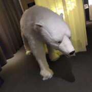 ヒメ日記 2025/11/20 16:17 投稿 ゆづき 熟女の風俗最終章 仙台店