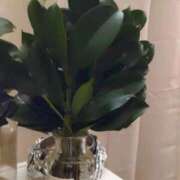 ヒメ日記 2025/12/22 21:51 投稿 ゆづき 熟女の風俗最終章 仙台店