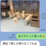 ヒメ日記 2026/03/31 00:44 投稿 ゆづき 熟女の風俗最終章 仙台店