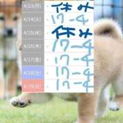 ゆづき 13 熟女の風俗最終章 仙台店