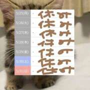 ヒメ日記 2026/05/22 17:14 投稿 ゆづき 熟女の風俗最終章 仙台店