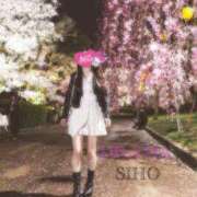 ヒメ日記 2025/04/15 07:10 投稿 しほ DRAMA（ドラマ）