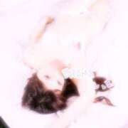 ヒメ日記 2025/05/23 20:40 投稿 しほ DRAMA（ドラマ）