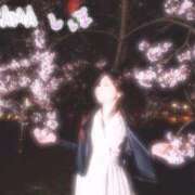 ヒメ日記 2026/04/06 11:10 投稿 しほ DRAMA（ドラマ）