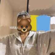 ヒメ日記 2024/12/09 16:51 投稿 ハルカ 1ROUND