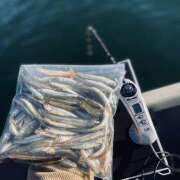 ヒメ日記 2024/12/15 18:14 投稿 ふみの 立川人妻研究会