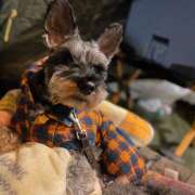 ヒメ日記 2025/01/14 18:33 投稿 ふみの 立川人妻研究会