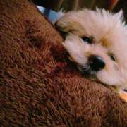 ヒメ日記 2025/01/27 11:45 投稿 ふみの 立川人妻研究会